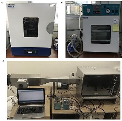 Kageneckia oblonga Leaves Subjected to Different Drying Methods: Drying Kinetics, Energy Consumption and Interesting Compounds
